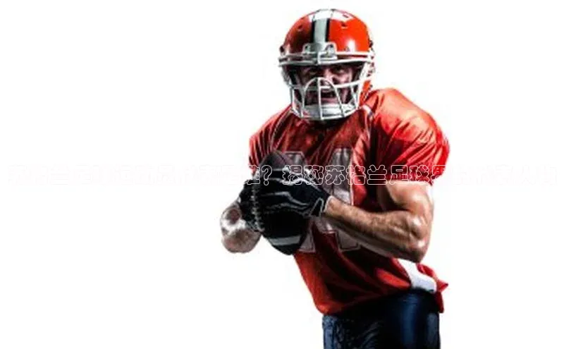 杏运平台官网入口百度取证