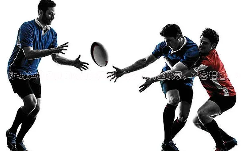 杏运娱乐官网在线登录百度百聘