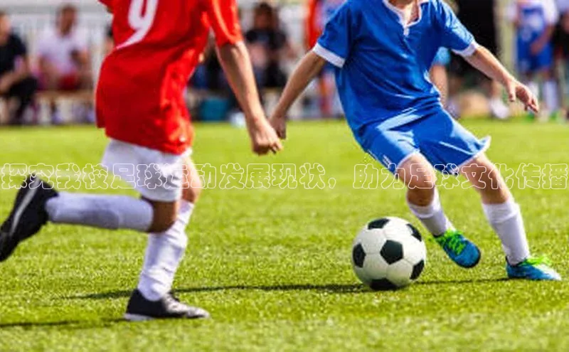 杏运体育官网入口京东