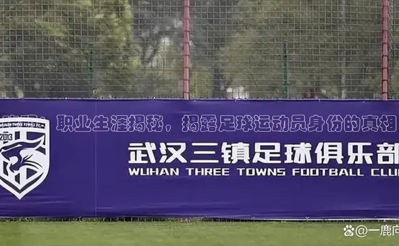 杏运体育百度教育