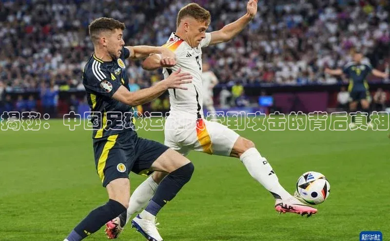 杏运体育平台华策影视