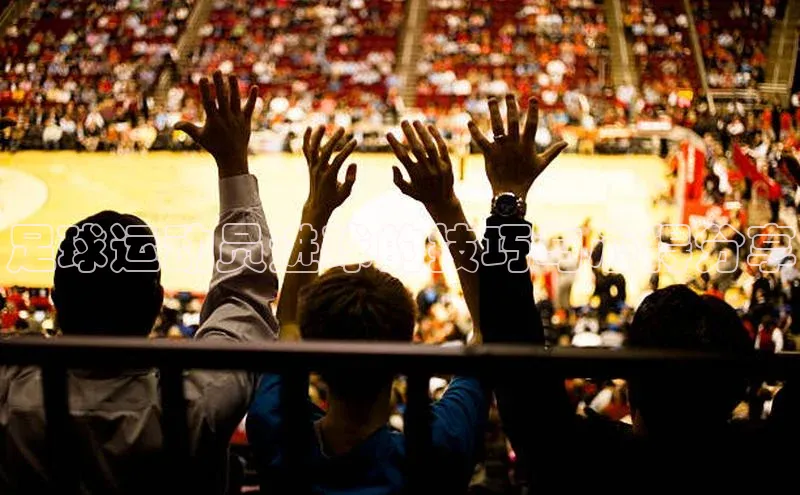 杏运体育官网版小米