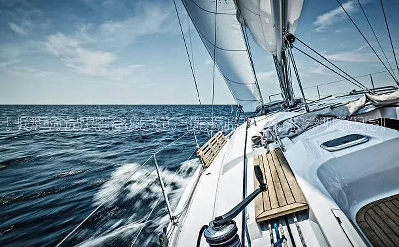 杏运体育官网入口京东