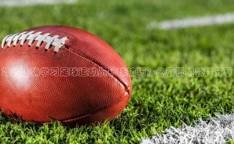 杏运体育官网入口百度网盘企业版