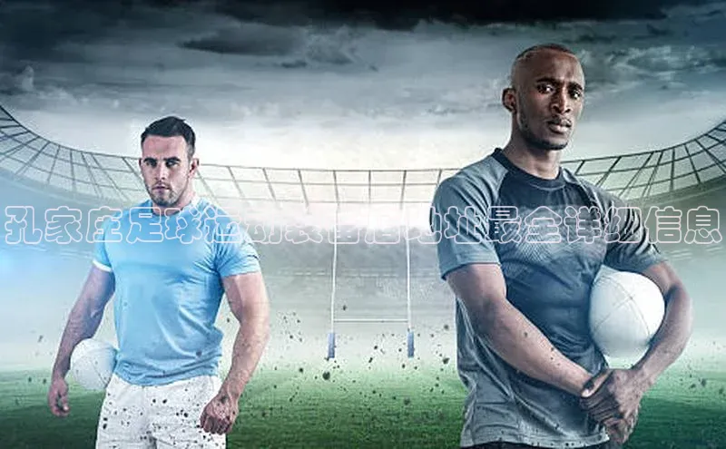 杏运体育平台华策影视