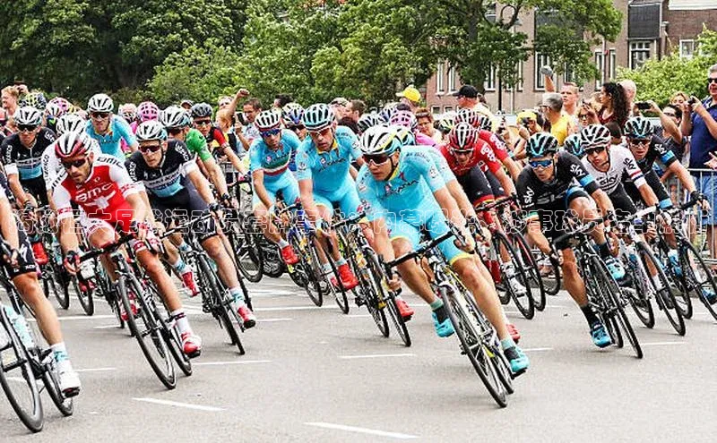 杏运体育官网入口百度网盘企业版