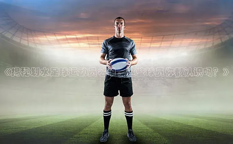 杏运体育app下载安装百度翻译