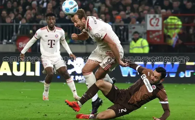 杏运官网登录文心一言