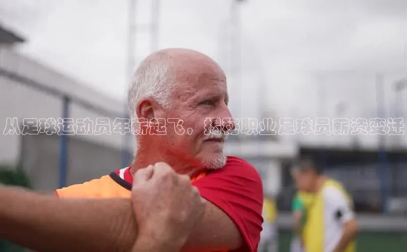 杏运体育app下载安装手机版顺丰