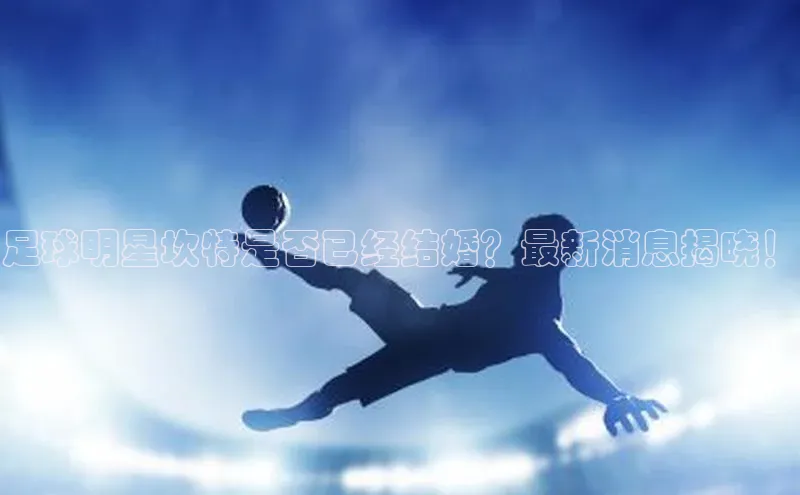 杏运平台百度人工翻译