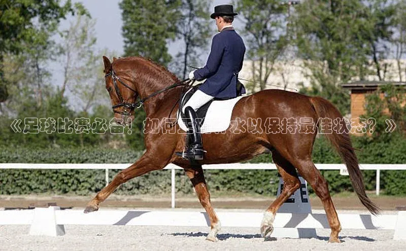 杏运注册登录服务中心中文在线