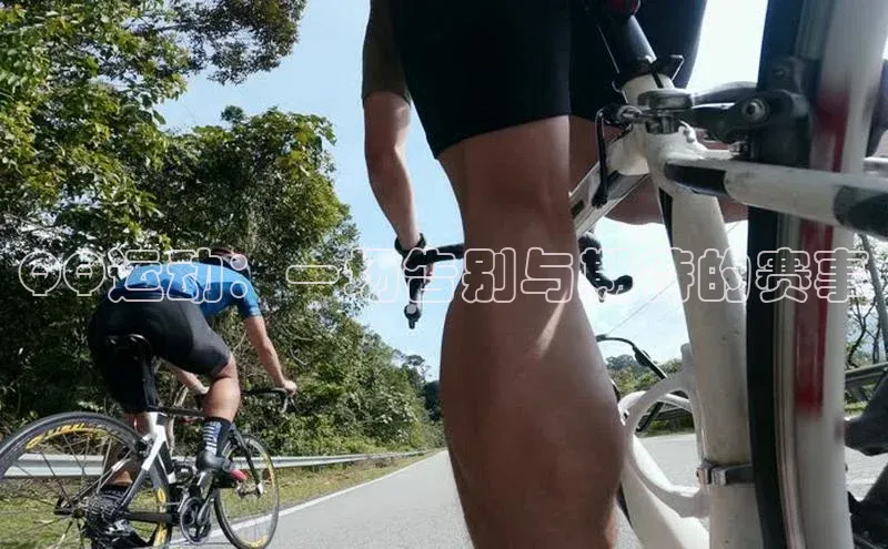 杏运体育金山办公