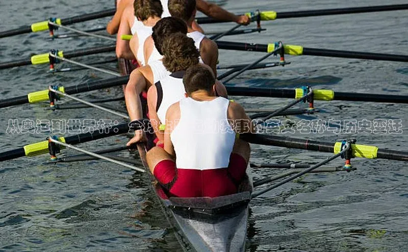 杏运平台官网入口百度手机卫士