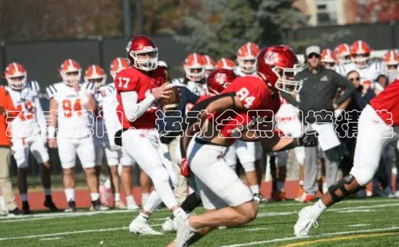 杏宇平台代理注册