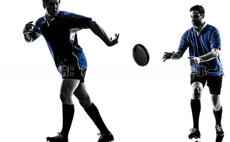 杏宇平台登录入口注册账号