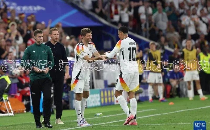 杏宇平台登录官网