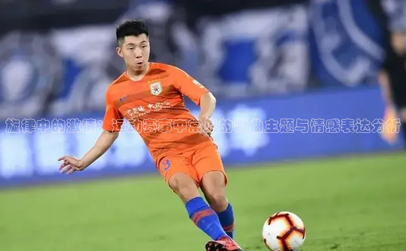 杏宇注册平台登录