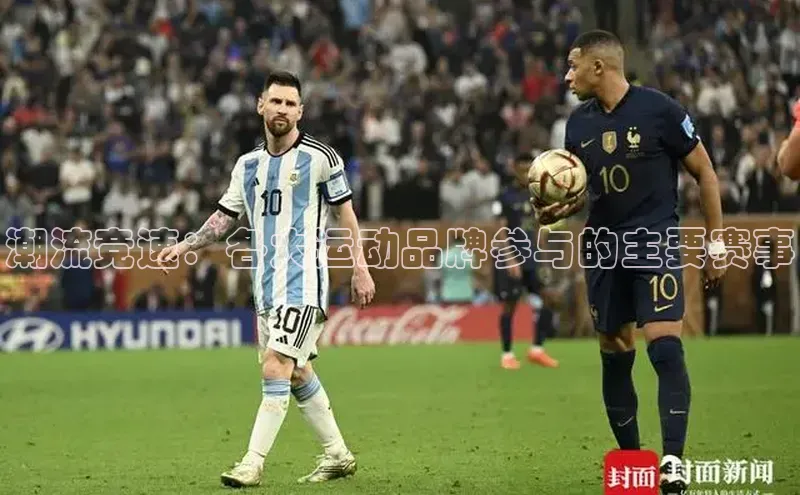 杏宇注册平台登录