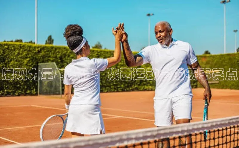 杏宇代理登录中心