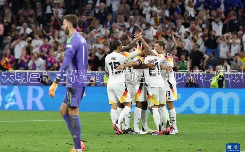 杏宇代理登录中心