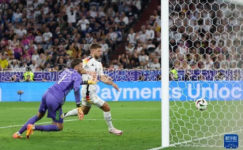 杏宇平台登录官网