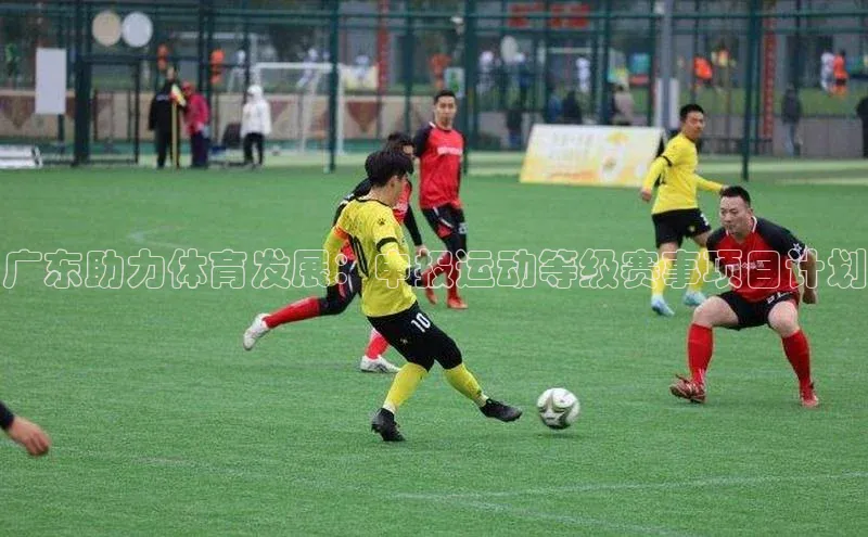 杏宇平台登录入口注册账号