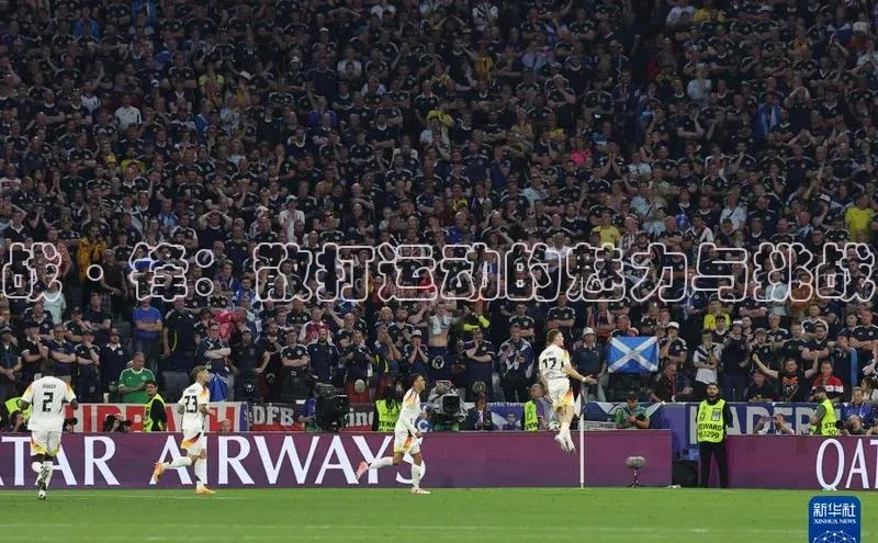 杏宇平台登录官网