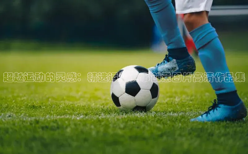 杏宇平台登录官网