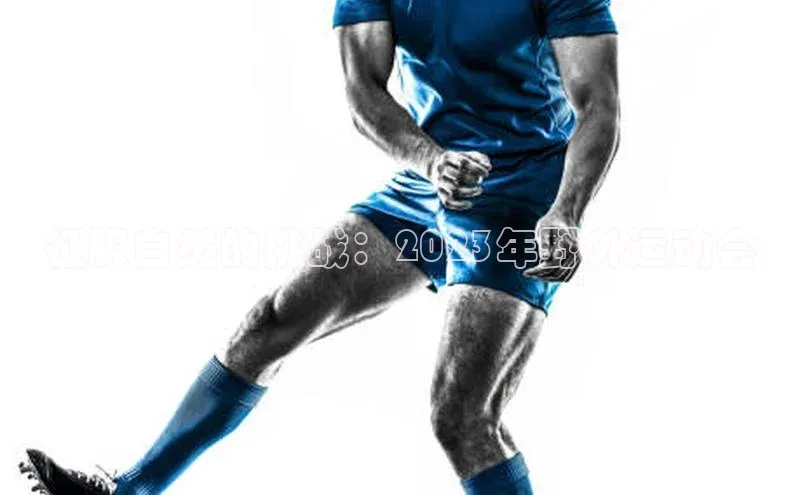 杏宇平台登录入口注册账号