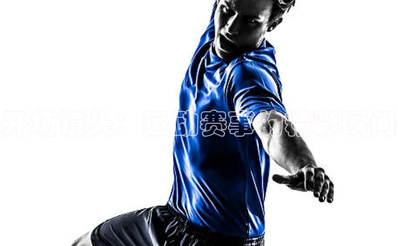 杏宇平台登录入口2024最新版