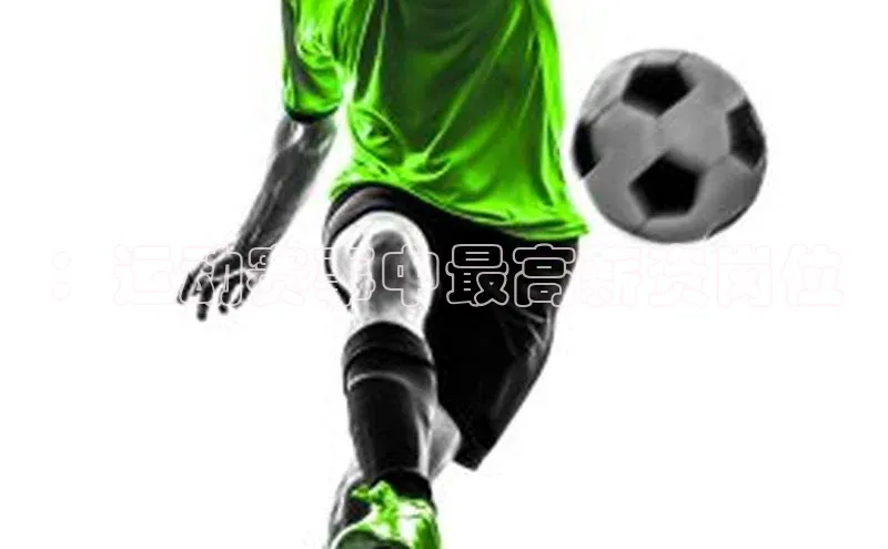 杏宇代理登录中心