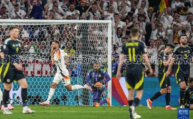 杏宇平台登录入口2024最新版