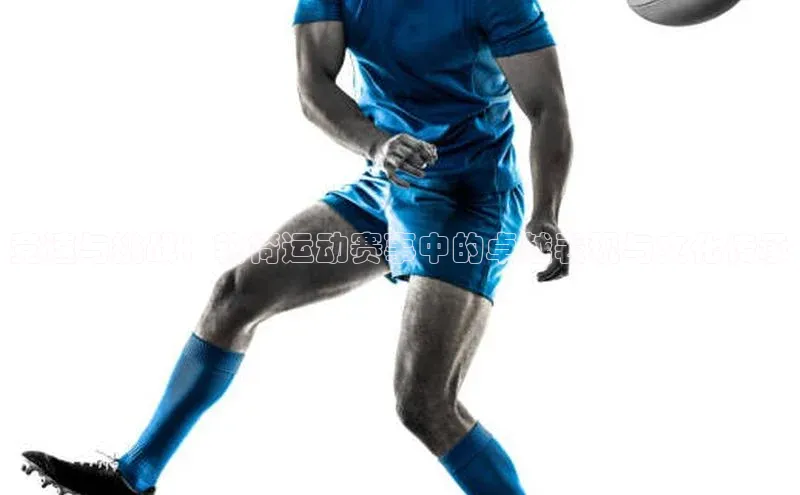 杏宇代理登录中心