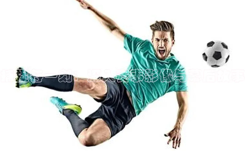 杏宇平台登录入口2024最新版