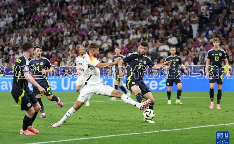 杏宇注册平台登录